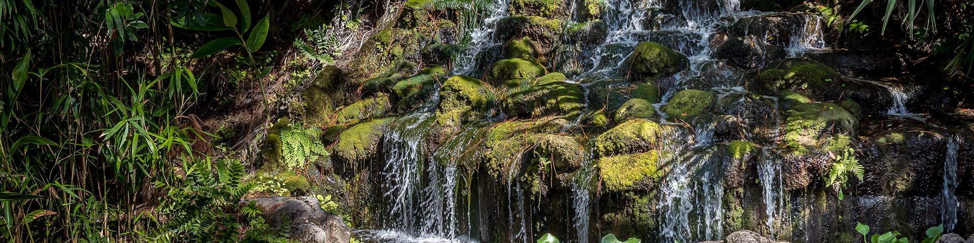 Wasserfall im Dschungel und vielen grünen Pflanzen